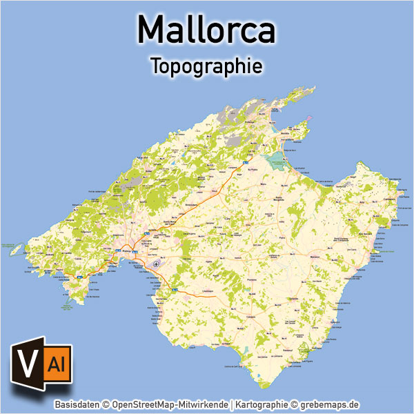 Mallorca Vektorkarte Topographie